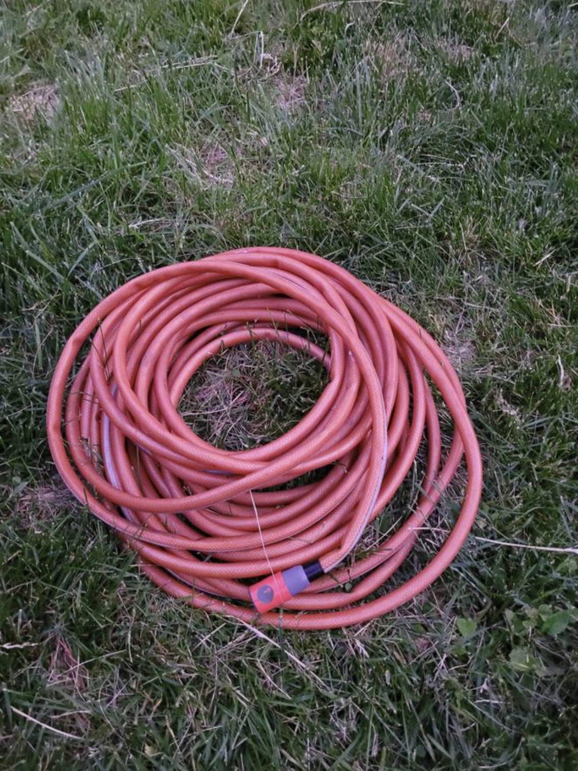 Garden Hose with Reel